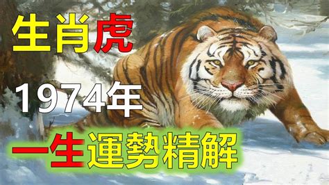 1974屬虎運勢|【1974年生肖】1974年生肖運程大公開！屬虎者2024年全年運勢。